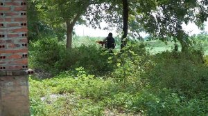 MASK Nerf War : Patrol Police ALPHA Nerf Guns Fight Thief Guns Mask Bandits Gold Money