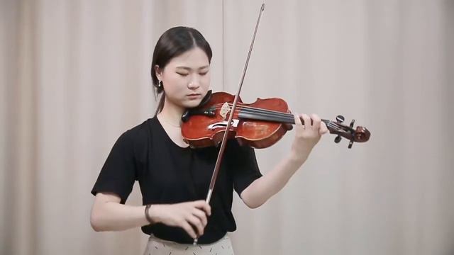 Francois Peccatte Violin Bow Test / Amedeo Simonazzi Violin L 프랑수아 페카트 바이올린 활