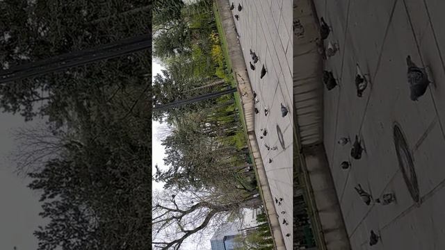 28-04-2021.12:26:15 ПРОСЯТ ХЛЕБА ! ПОЧЕМУ ТАКИЕ НЕ ПОНЯТЛИВЫЕ!!??? У ЧЕЛОВЕК ТОЖЕ ОСТАВЛЯЕТ СЕБЕ НА смотреть онлайн