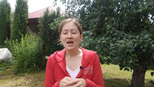 Как избавиться от стресса. Метод диссоциации смотреть онлайн