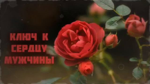 Ключ к сердцу мужчины ¦¦ Ринат Абу Мухаммад смотреть онлайн