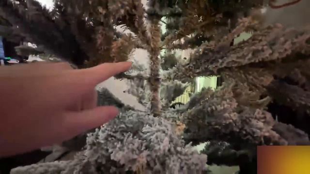 КОРЕШ И ВИШЕНКА НАРЯЖАЮТ ЕЛКУ | ПОСАДИЛИ ЧАРЛИ В ТЮРЬМУ смотреть онлайн