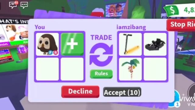 Trading owl fly and ride!!!first video on YouTube смотреть онлайн