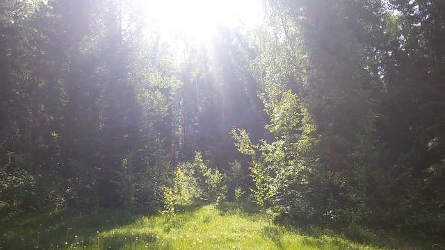 Слепящие солнце смотреть онлайн