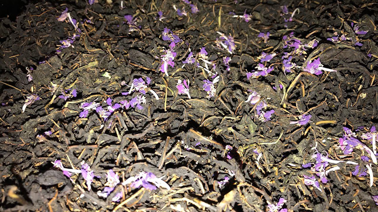 Делаем Иван-чай, простой способ смотреть онлайн