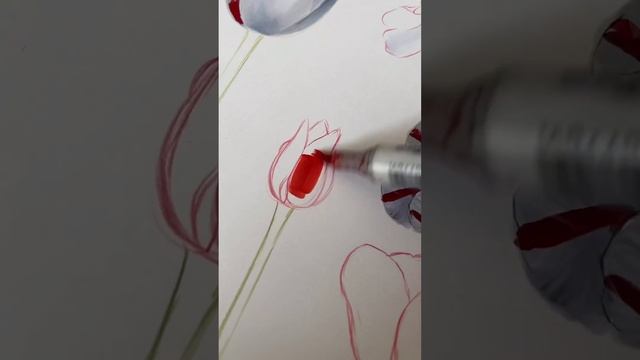 До сих пор поражаюсь, сколько же видов тюльпанов существует! #art #drawing #arttour #flowers #paint смотреть онлайн