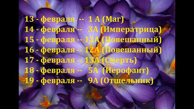 Прогноз на неделю с 13 по 19 февраля 2017 г смотреть онлайн