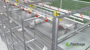HARTMANN KÄFIGE Системы клеточного содержания бройлера