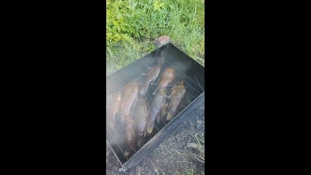 Самые крутые случаи на рыбалке / Приколы на рыбалке 2021 / Шок рыбалка смотреть онлайн