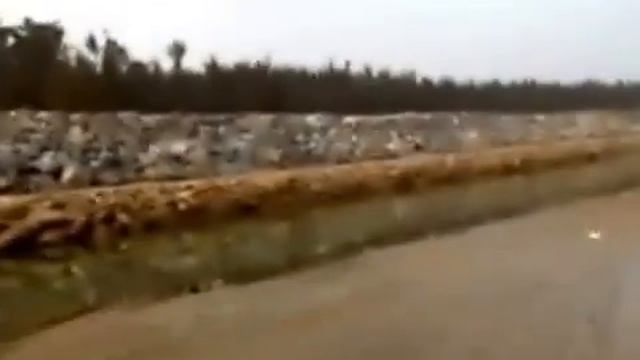 Red Crab Island - Talsari Sea Beach Orissa near Digha - Mouth of Subarnarekha River смотреть онлайн