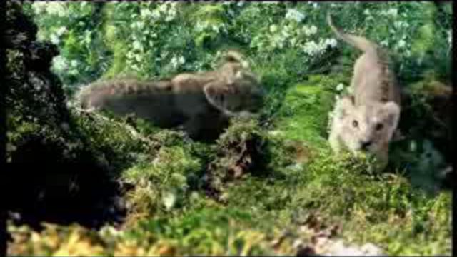 Австралийский ролик про пиво. смотреть онлайн