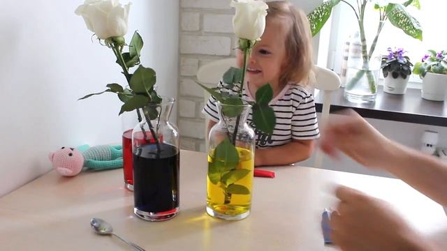 Colouring white roses! | Покраси белые розы в любой цвет! смотреть онлайн