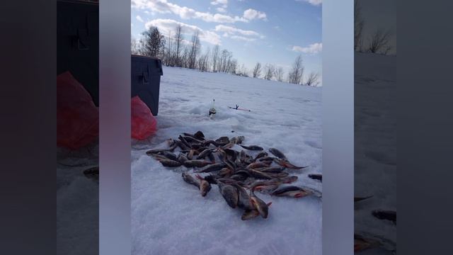 Вот так мы выезжаем с озера. смотреть онлайн