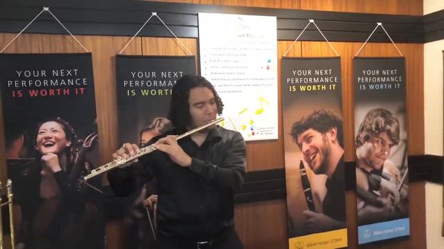 Amadeus Flute by Haynes смотреть онлайн