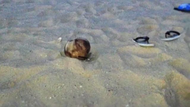 Путешествие во Вьетнам (Море) смотреть онлайн