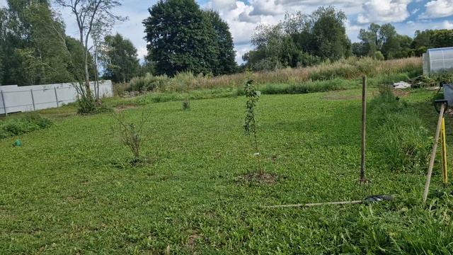 4 августа 2024