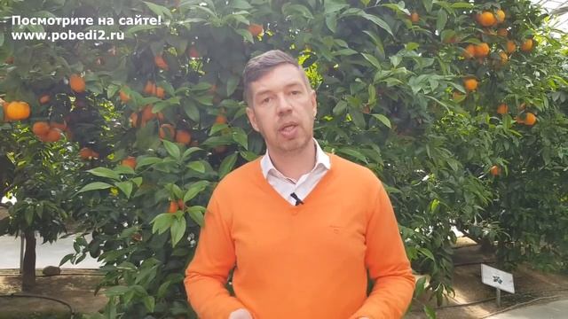 Как НЕ ЗАБОЛЕТЬ при смене часовых поясов