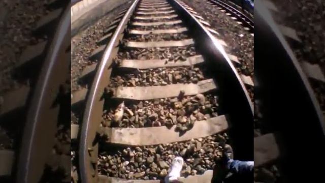 Самоубийца