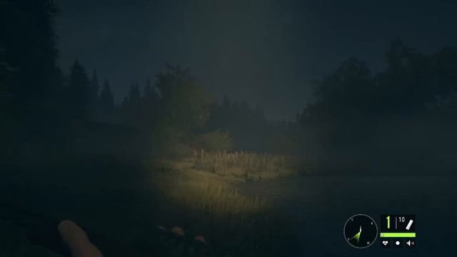 Ночная охота на зайца смотреть онлайн