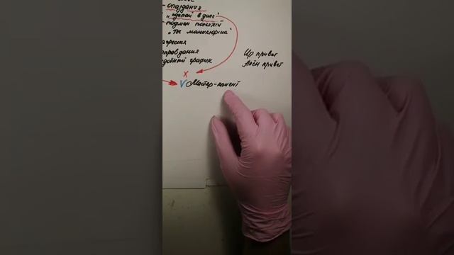 ingarden_official: Психология общения с клиентом смотреть онлайн