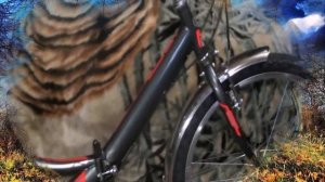 Обзор велосипеда STELS Pilot 750 - Преимущества и Недостатки