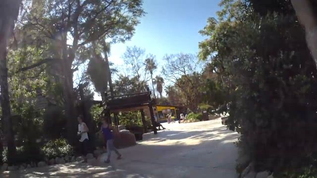 Panasonic HX-A500: качество изображения смотреть онлайн