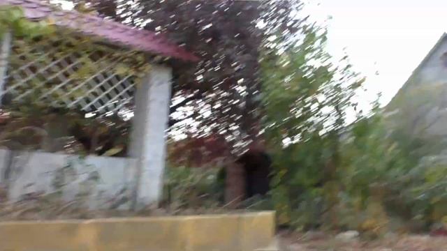 Кукла на даче со своей любимой игрушкой смотреть онлайн