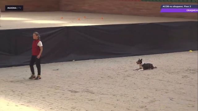 17.06.23 Максима, CACOB, 1-е место, 272,5 баллов, ринг 1 смотреть онлайн