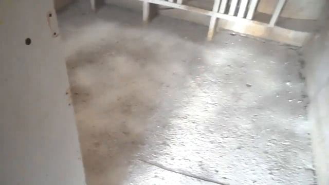 Обработка голубятни Известью, в осенне-зимний период.16.11.19г. смотреть онлайн