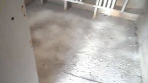 Обработка голубятни Известью, в осенне-зимний период.16.11.19г.