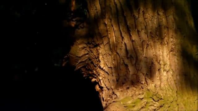 Deva Premal Gayatri Mantra 2 hours.mp4 смотреть онлайн