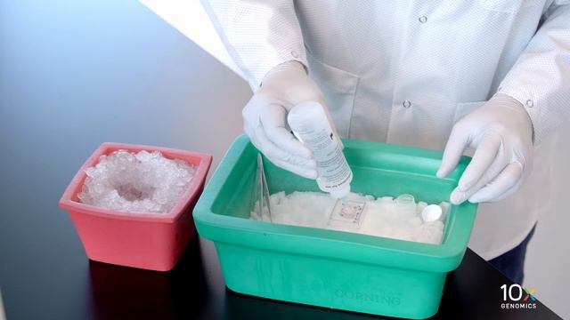 Visium Tissue Preparation Protocol | Embedding Frozen Tissue in OCT смотреть онлайн