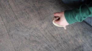 когда оксид-глазурь