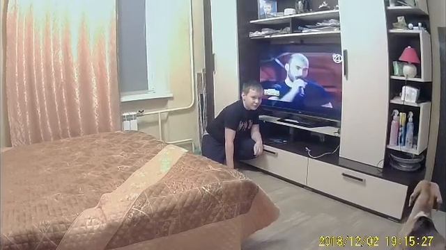 Бигль Боня смотреть онлайн