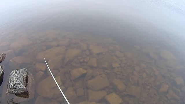 Рыбалка на Кольском.Бешеный клёв хариуса ч. 2 Привет "Ромарио Агро" смотреть онлайн