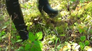 Девушка в сапогах на высоких каблуках в грязных лужах