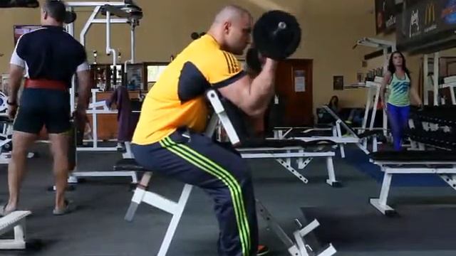 Сгибание рук со штангой на скамье Скотта смотреть онлайн