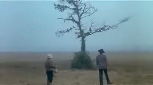Укрощение Строптивого Разговор с воронами