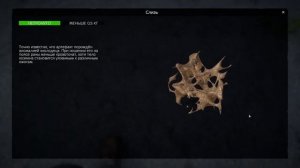 Артефакты S.T.A.L.K.E.R. для DayZ | WGB TeaM