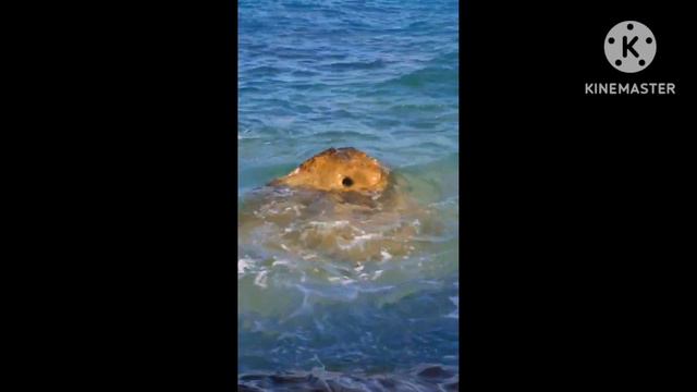 Музыка для релакса. Музыка и море смотреть онлайн