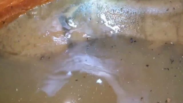 podkapaev. днп. Южный . Металла ооочень много, надеемся фильтра можно будет подобрать . смотреть онлайн