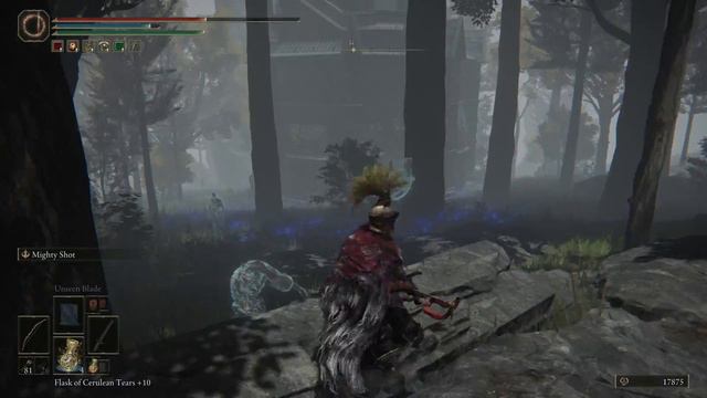 Elden Ring Sorcerer's Isle - Testu's Rise Tower Guide - How To Find 3 Wise Beasts смотреть онлайн
