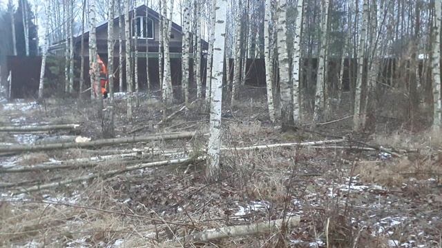 Husqvarna 555FX Кусторез смотреть онлайн