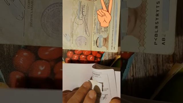 Паспорт РФ и РБ смотреть онлайн