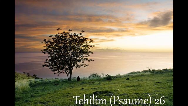 BYM audio : Tehilim (Psaumes) 25 à 27 смотреть онлайн