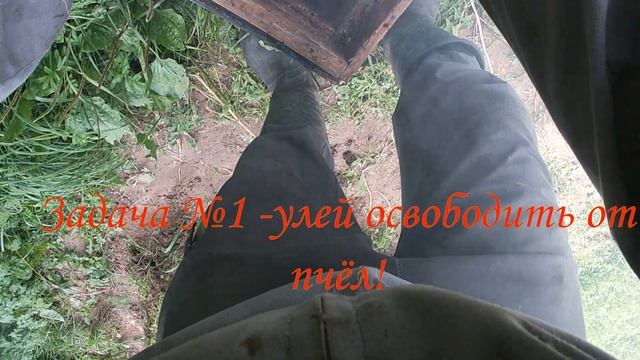 Как исправить отрутневевшую семью.Проверено на себе. смотреть онлайн