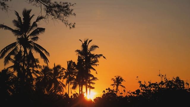 #3 Как ВЫЖИТЬ на сафари и увидеть все! Шри-Ланка с детьми. 4K смотреть онлайн