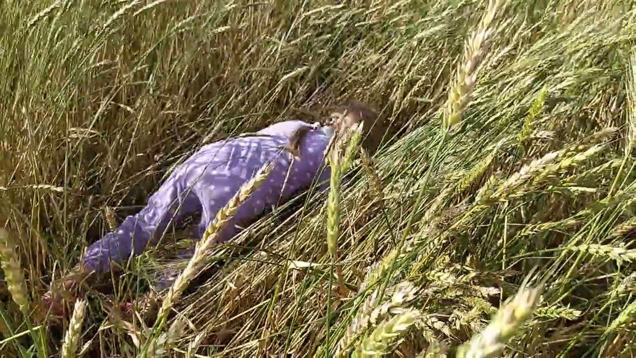 14 августа 2024 г. смотреть онлайн