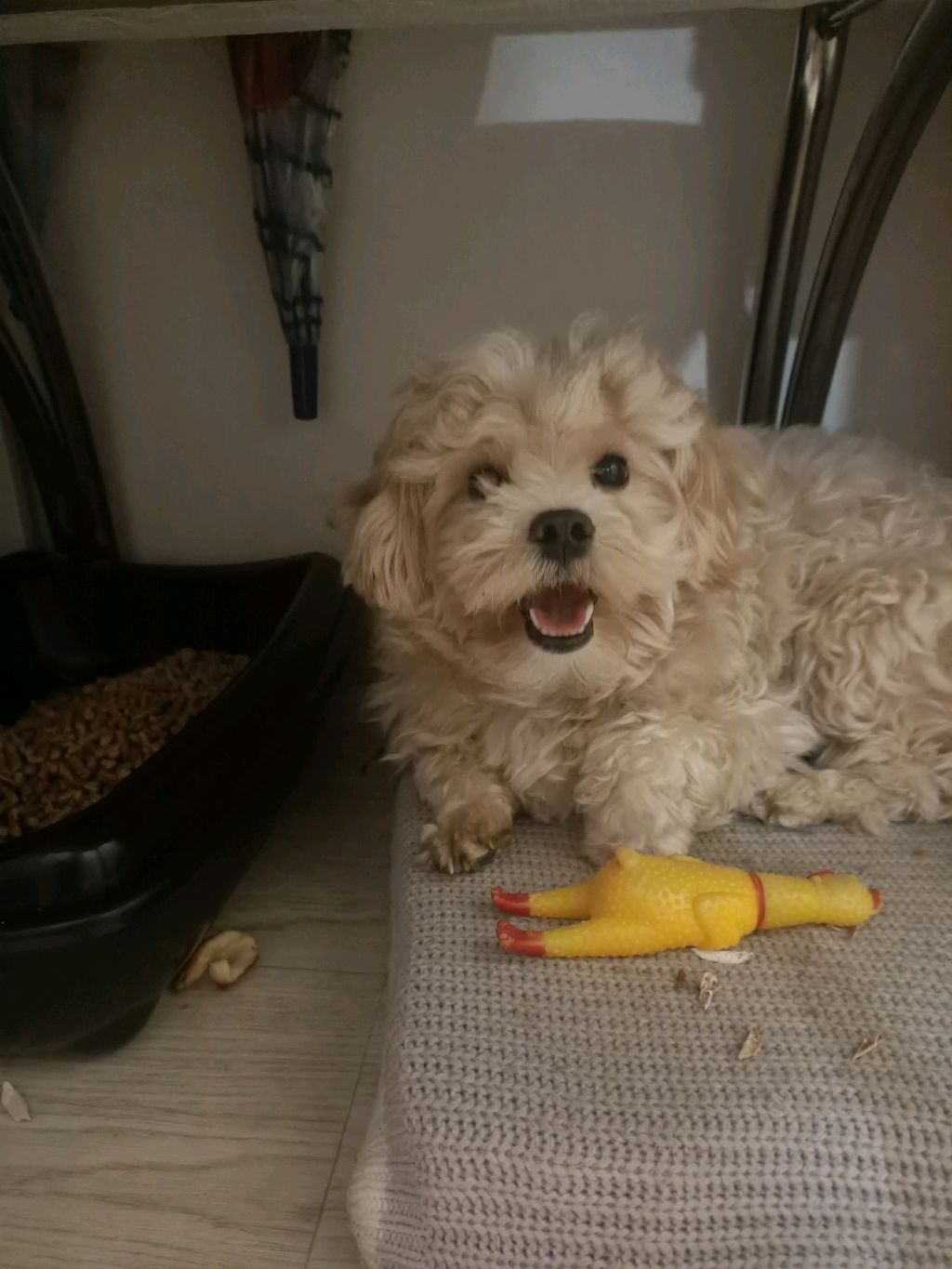 прикол в конце видео