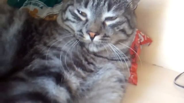 Я послушал песню между нами тает лед смотреть онлайн